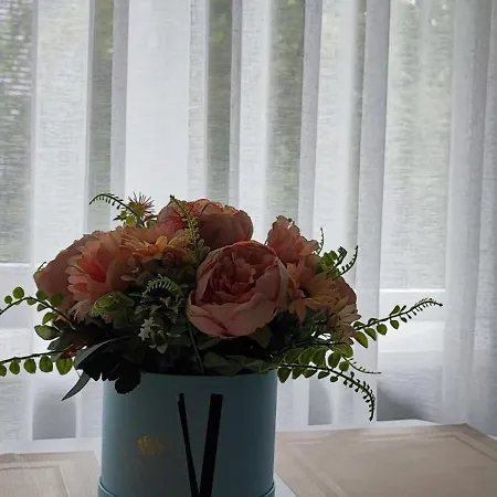 Daire Taikos Apartamentai Klaipėda